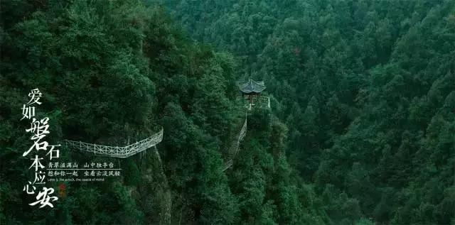 小恐龙来找茬